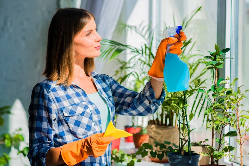 Helper caring for the plants by a bright window